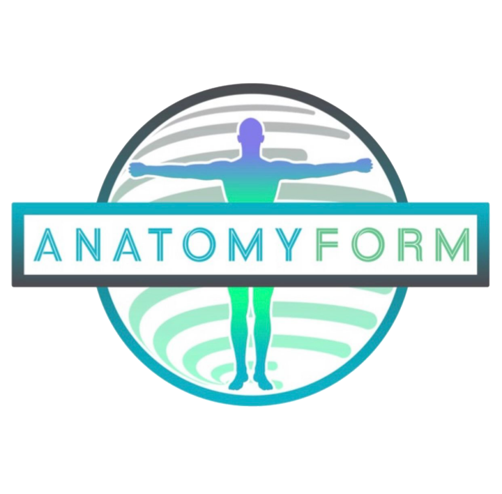  leti im anatomy form